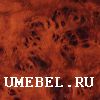 ДСП «Sorbesgroup» (Repo), Эстония Кореница темная