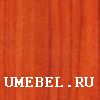 ДСП Шекснинского комбината древесных плит, Шексна Вишня академия
